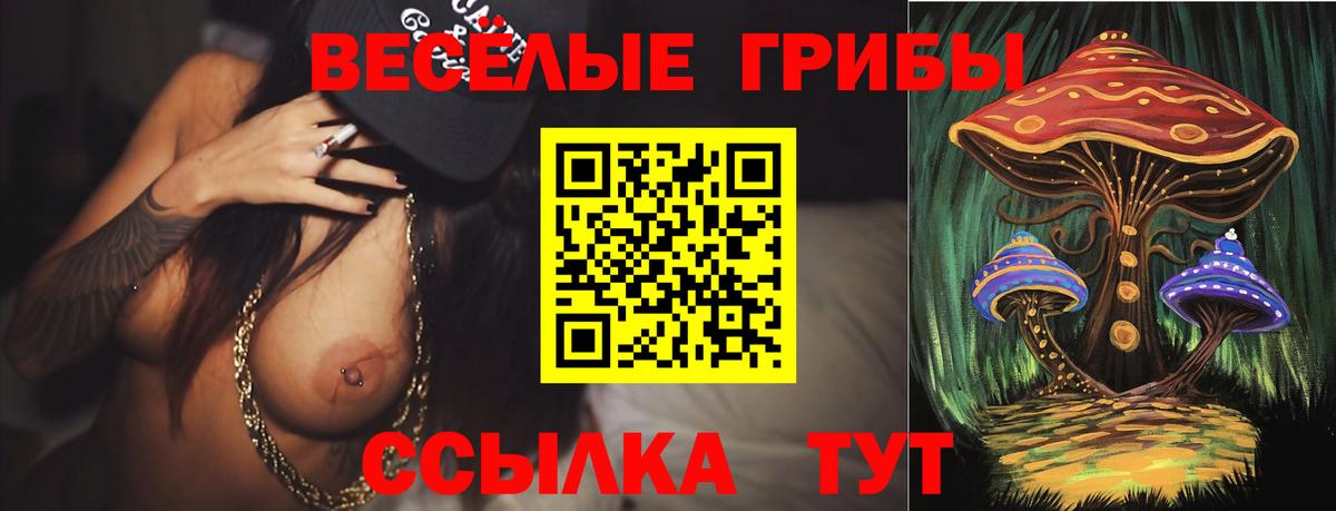 Псилоцибиновые грибы прущие грибы Муром