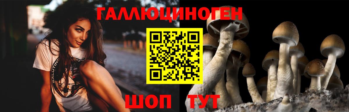 Муром  Галлюциногенные грибы GOLDEN TEACHER  Псилоцибиновые грибы прущие грибы  Вход с VPN 